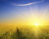 How to move forward in life with purpose
