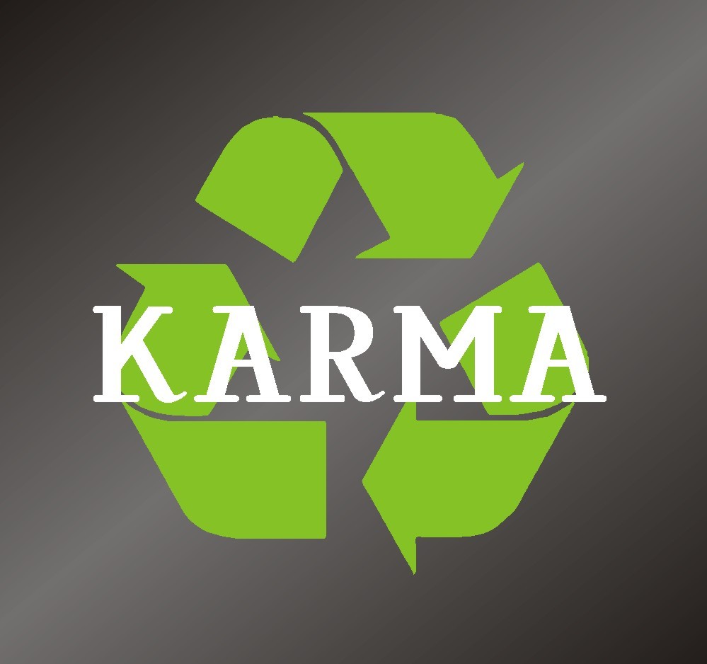 Karma, Fate and Free Will
